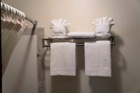 Combined shower/tub, hair dryer, towels, soap