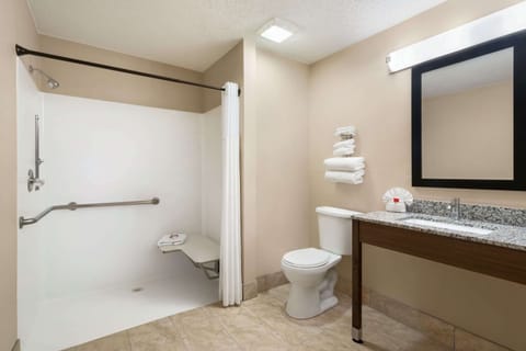 Standard Room, 1 Queen Bed, Accessible | Bathroom shower