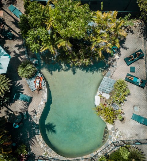 Outdoor pool, sun loungers