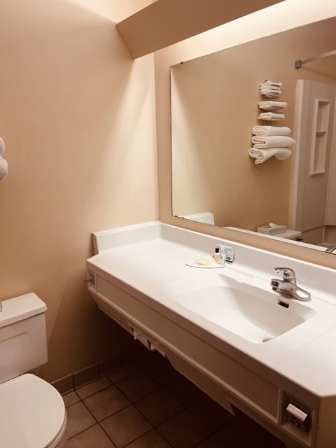 Combined shower/tub, free toiletries, hair dryer, towels