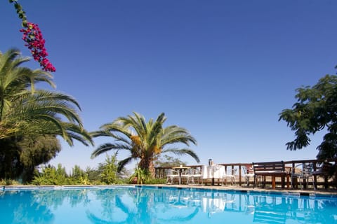 Seasonal outdoor pool, pool umbrellas