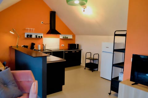 Superior Apartment, Private Bathroom, Garden View (Halledet) | Shared kitchen