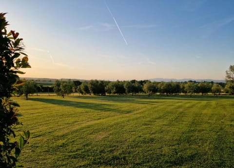 Apartment | View from property