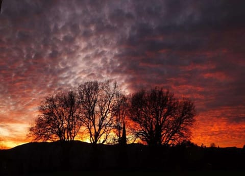 House | View from property