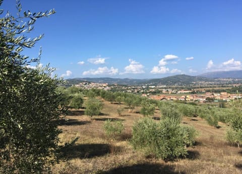 Cottage | View from property