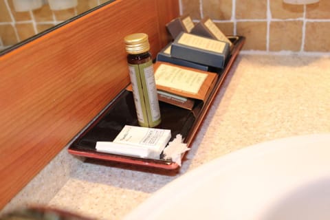 Hair dryer, towels, soap, shampoo