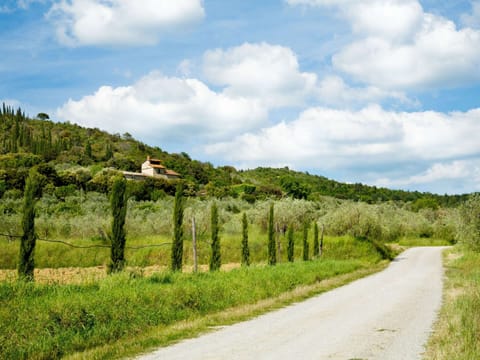 House | View from property