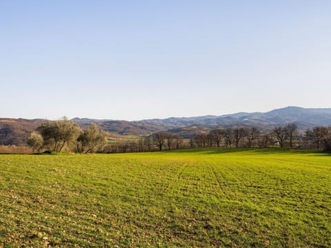 House | View from property