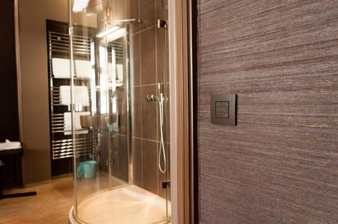 Executive Double Room | Bathroom | Shower, hair dryer, bathrobes, slippers