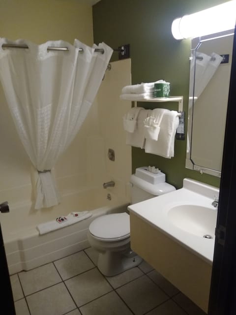 Combined shower/tub, free toiletries, hair dryer, towels