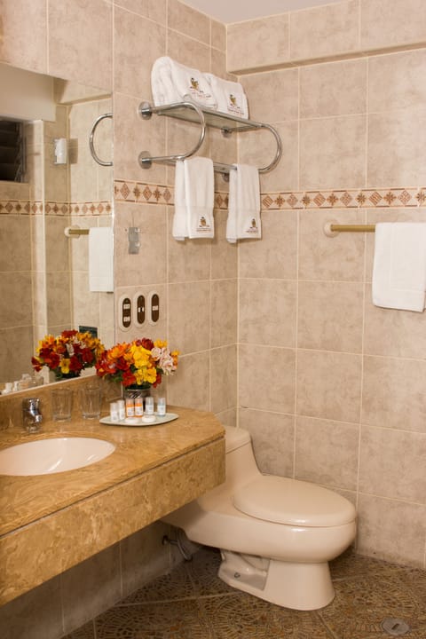 Combined shower/tub, free toiletries, hair dryer, towels