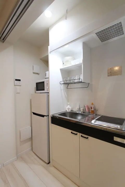 Apartment (A102) | Private kitchenette | Fridge, microwave, stovetop, electric kettle