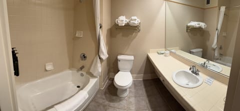 Free toiletries, hair dryer, towels, soap