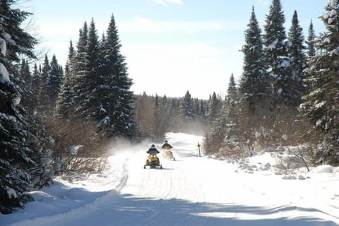 Snowmobiling