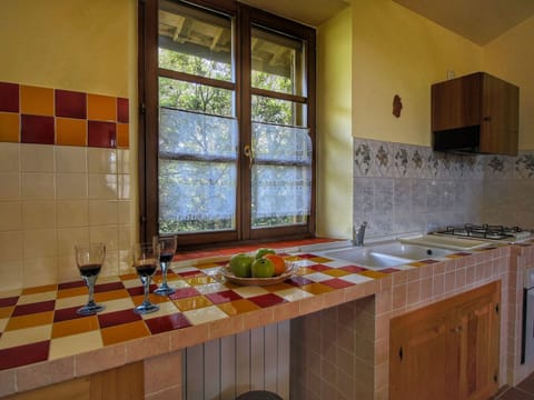 House | Private kitchen | Highchair