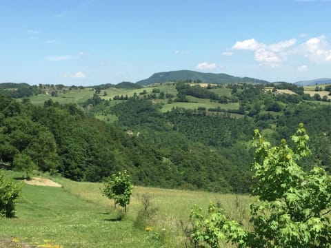 House | View from property