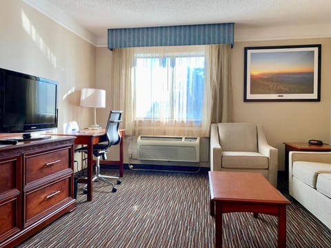 Suite, 1 King Bed, Non Smoking (One-Bedroom Suite) | Living room | Flat-screen TV, video-game console