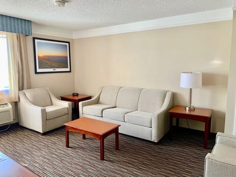 Suite, 1 King Bed, Non Smoking (One-Bedroom Suite) | Living room | Flat-screen TV, video-game console