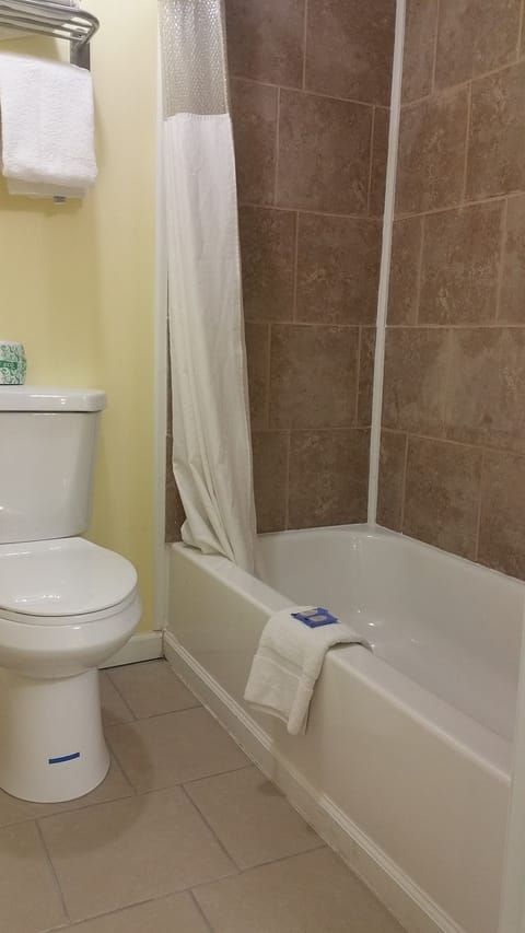 Combined shower/tub, free toiletries, hair dryer, towels