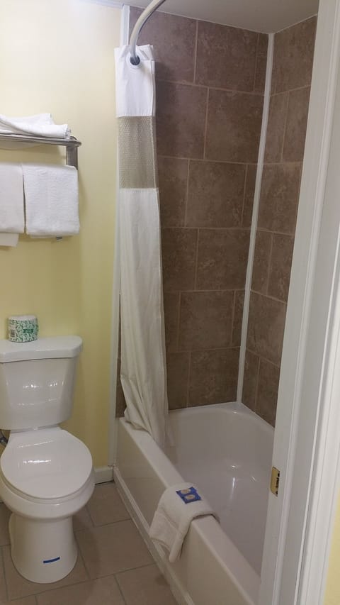 Combined shower/tub, free toiletries, hair dryer, towels