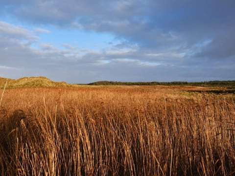 House | Miscellaneous