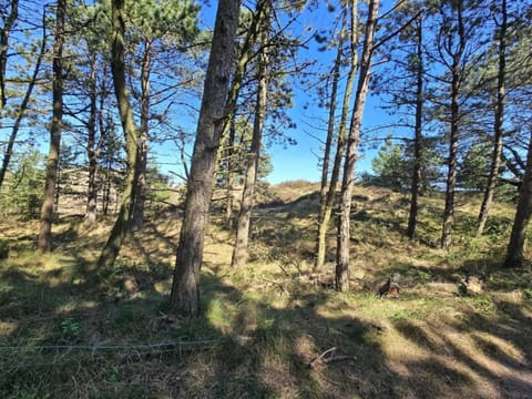 House | Miscellaneous