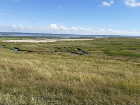 House | Miscellaneous