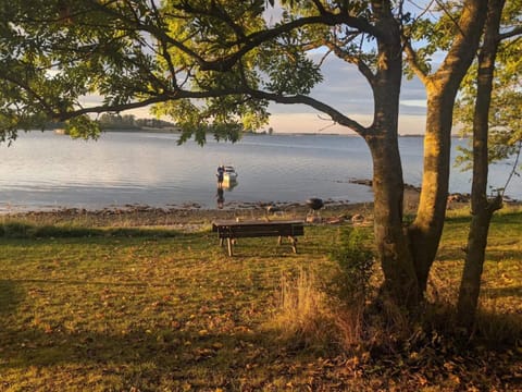 House | Miscellaneous