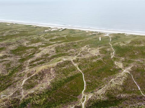 House | Miscellaneous