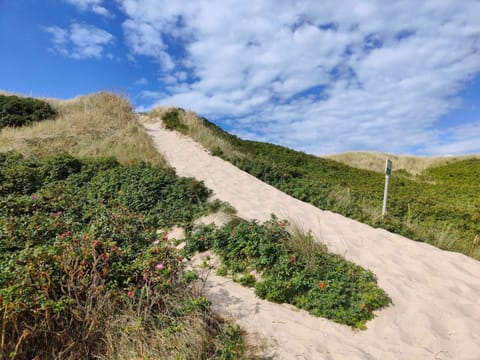 House | Miscellaneous