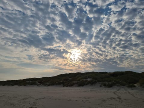 House | Miscellaneous