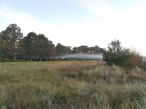 House | Miscellaneous