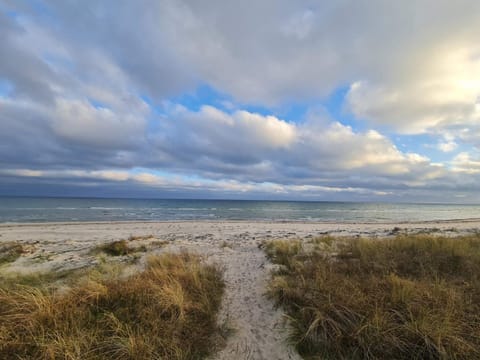 House | Beach