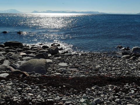 House | Beach | Fishing