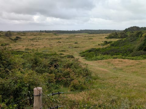 House | Miscellaneous