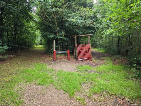 House | Miscellaneous