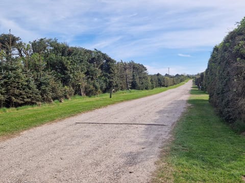 House | Miscellaneous