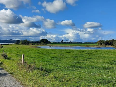 House | Miscellaneous