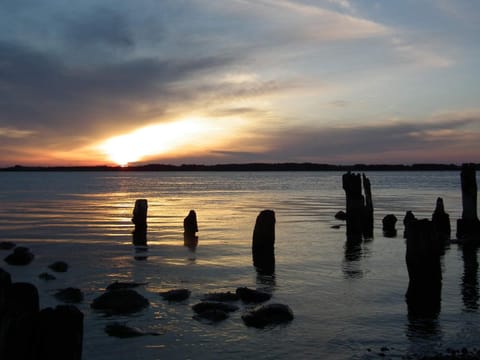 House | Miscellaneous