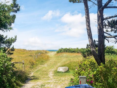 House | View from property