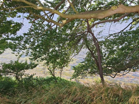 House | Miscellaneous