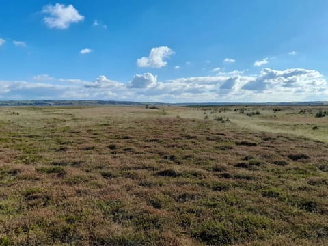 House | Miscellaneous