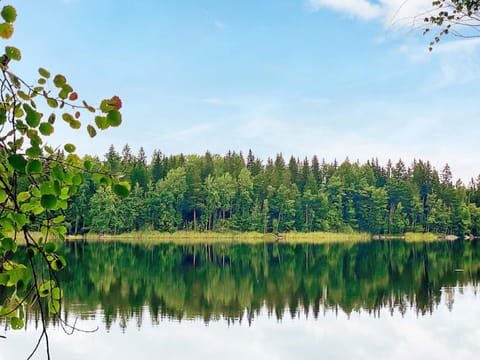 House | Miscellaneous