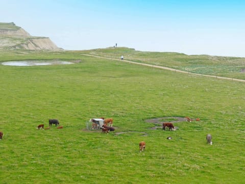 House | View from property