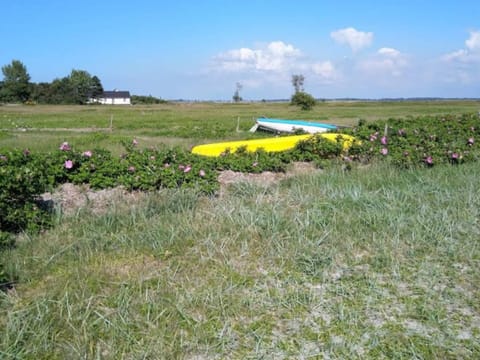 House | Miscellaneous