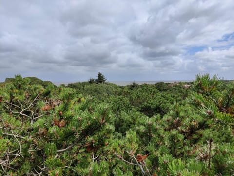 House | Miscellaneous