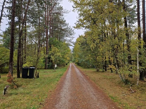 House | Miscellaneous