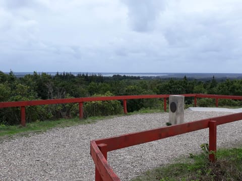 House | Miscellaneous