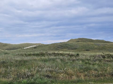 House | Miscellaneous