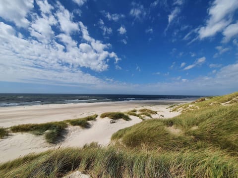 House | Beach
